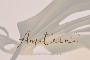 Ametrine: The Font That Elevates Your Brand’s Personality