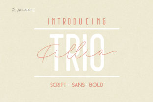 Filia: A Retro Script Font for Authentic Branding