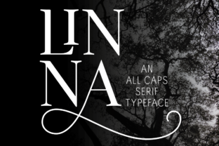 Linna: The Serif Font That Elevates Your Campaigns