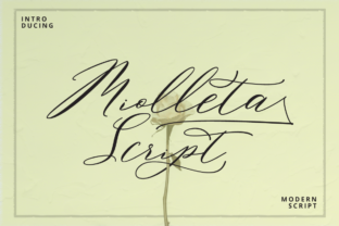 Miolleta Script: A Unique Script Font for Creative Designers