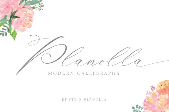 Planolla: A Script Font for Timeless Editorial Design