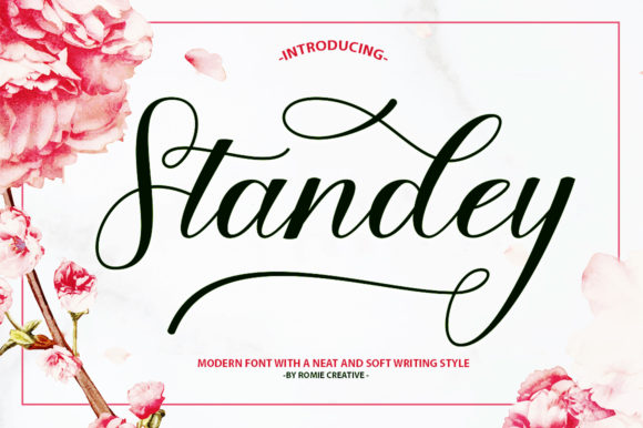 Standey: A Script Handwritten Font That Elevates Your Brand
